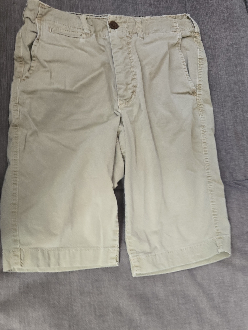 American Eagle Outfitters Men's Light Khaki Flat Front Shorts